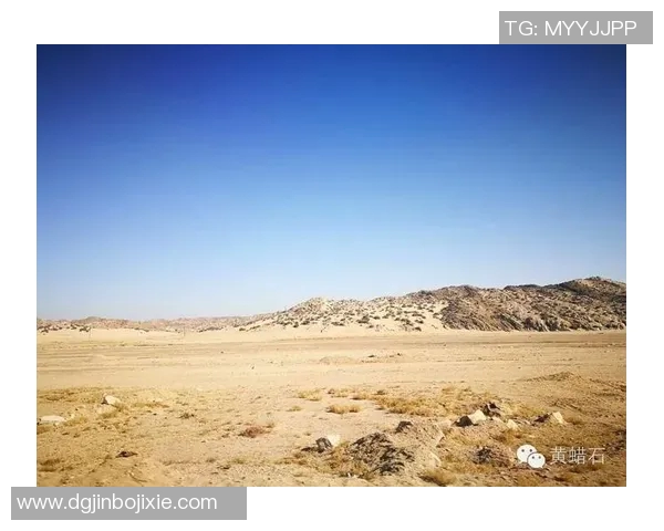 足球场上的星光璀璨与梦想交织的诗意人生